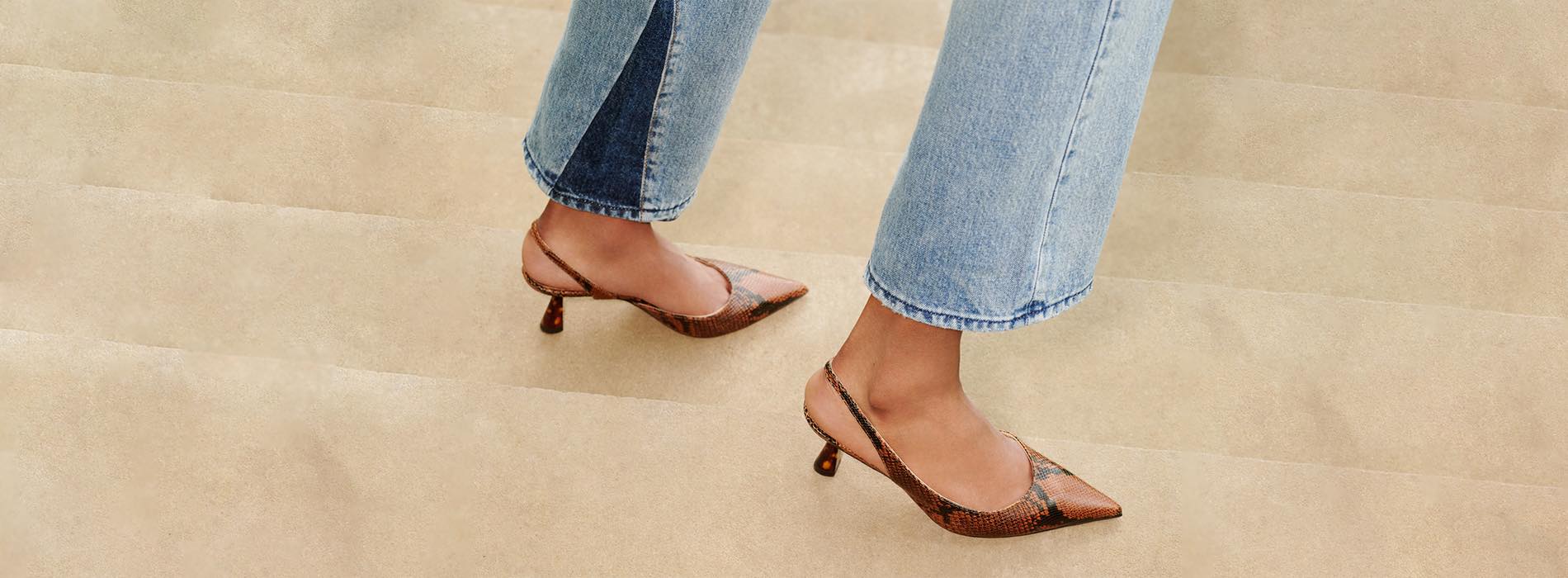 Shop Autumn Winter '19